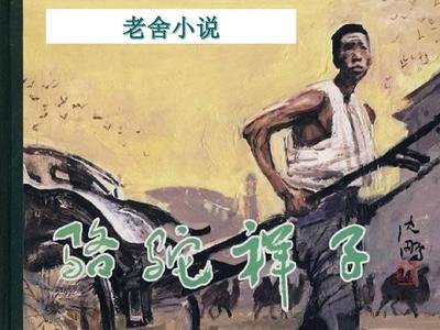私人瑜伽教练小说